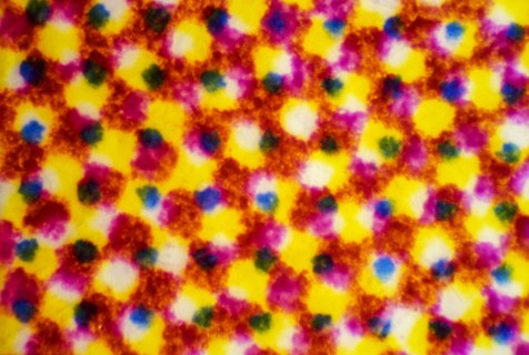 Microscopic view of CMYK printer dots