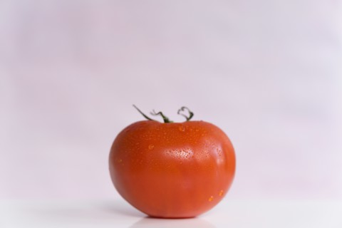 Red tomato on white background