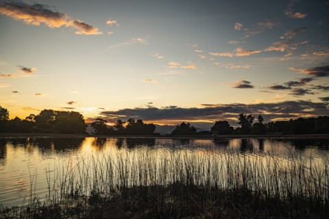 USA, Utah, Salem, Rushes at lakeshore at dusk