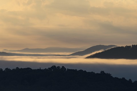 USA, Georgia, Fog and clouds above forest and Blue Ridge Mountains at sunrise