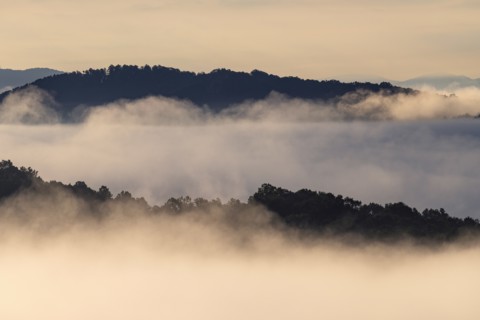 USA, Georgia, Fog and clouds above forest and Blue Ridge Mountains at sunrise