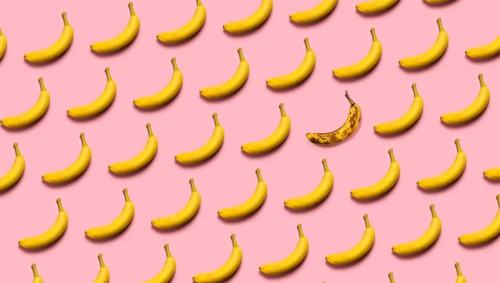 Rows of bananas on pink background
