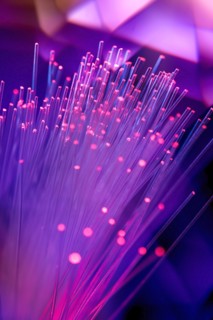 Close-up of illuminated fiber optics