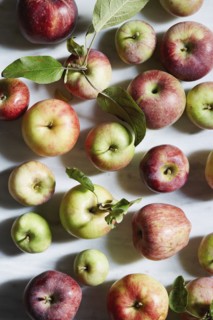 Freshly harvested apples