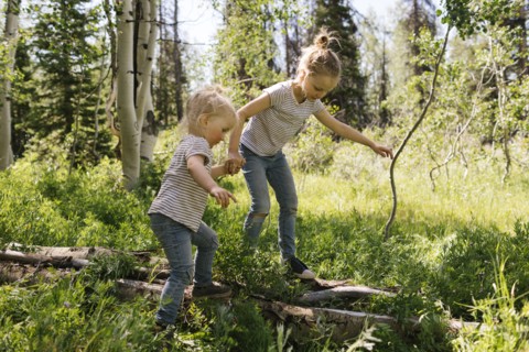 USA, Utah, Uinta National Park, Two sisters (2-3, 6-7) walking on log in forest