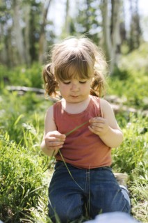 USA, Utah, Uinta National Park, Girl (6-7) holding blade of grass in forest