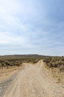 USA, Idaho, Bellevue, Forked dirt road in desert
