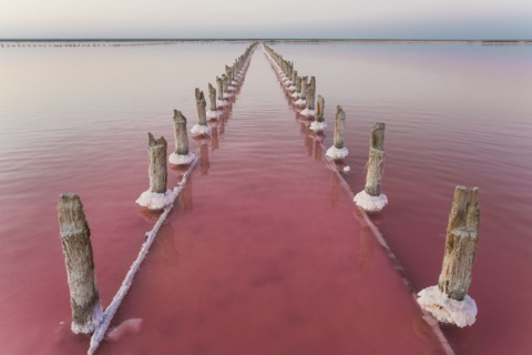 Ukraine, Crimea, Wooden posts in salt lake