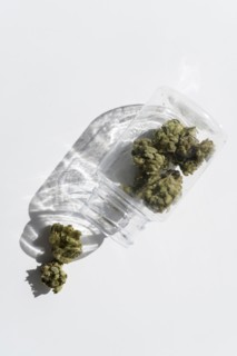 Studio shot of cannabis buds in jar
