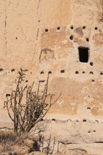 Cliff dwellings in Bandelier National Monument