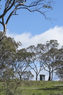 Hut among trees under blue sky