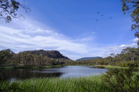 Lake in Ganguddy-Dunns Swamp