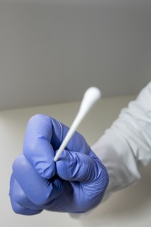 Gloved hand holds sterile swab for COVID testing