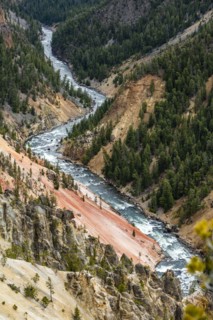 Yellowstone River flowing through Grand Canyon in Yellowstone National Park