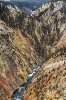 Yellowstone River flowing through Grand Canyon in Yellowstone National Park