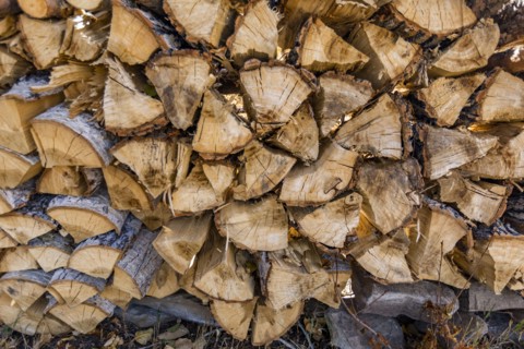 Stack of firewood