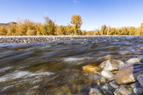 Motion blurred flow of Big Wood River in autumn