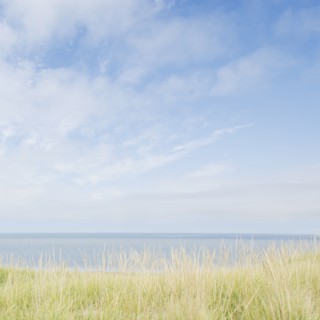 Grass on dunes and sea