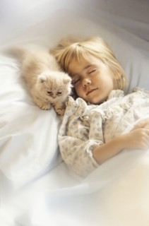 Girl (6-7) with kitten sleeping in bed