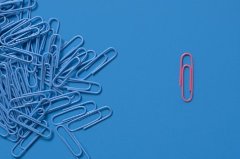 One pink paper clip and pile of blue paper clips