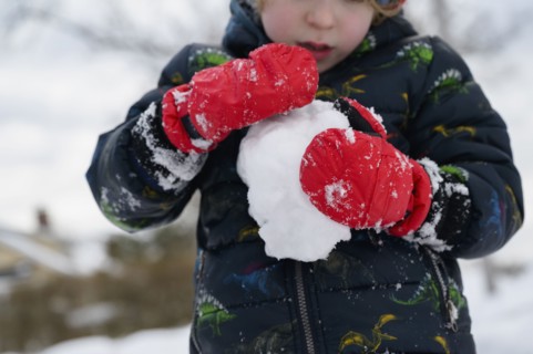 Boy (6-7) holding snowball