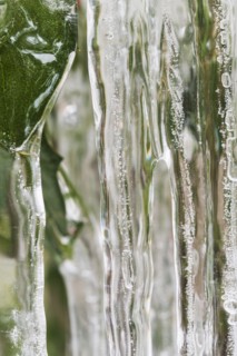 Close-up of icicles and frozen leaves