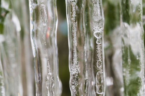 Close-up of icicles on plant