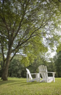 Pair of Adirondack chairs in back yard