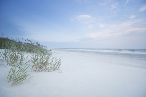Empty beach with grass