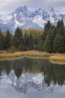 Snow covered Teton mountains and trees reflected in calm lake