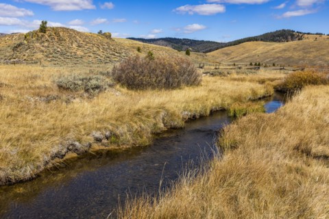 Creek flowing through meadows in fall