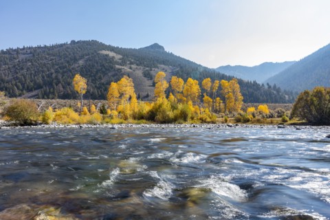 Big Lost River in autumn landscape with mountains and forests