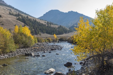 Big Lost River in autumn landscape with mountains and trees