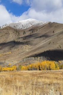 Landscape with snowy mountains and autumn foliage