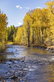 Big Wood River flowing through autumn forest