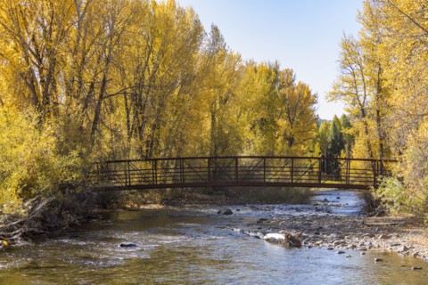 Big Wood River with footbridge among autumn trees