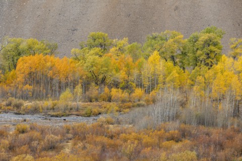 Big Wood River flowing among autumn forest in mountains