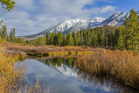 Bald Mountain of snowy mountains
