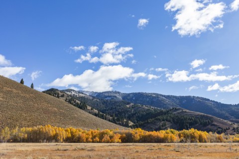 Bald Mountain of snowy mountains