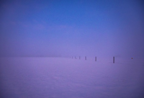 Snowy field at dawn