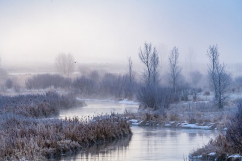 Frosty river at dawn