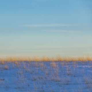Range grasses in snow at sunset