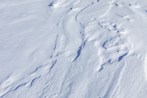 Windblown snow texture