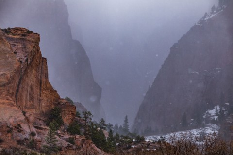 Mist in Kolob Canyon section of Zion National Park