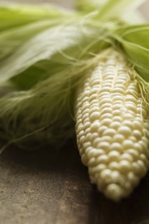 Close up of corn cob on table