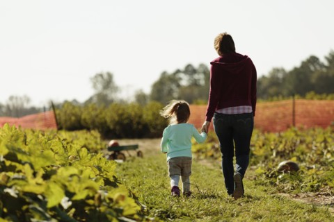 Mother and daughter holding hands in pumpkin field