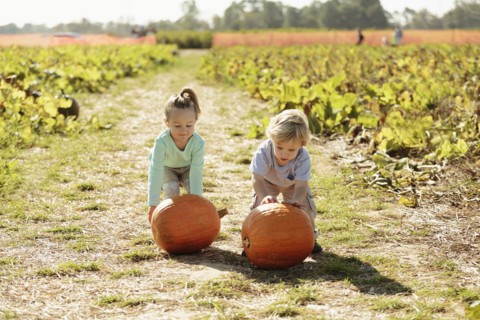 Brother and sister in pumpkin field