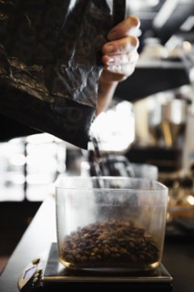 Coffee shop barista pouring coffee beans
