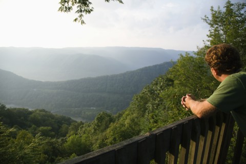 Mid adult man looking at view from viewing platform