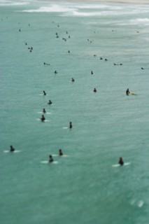 Surfers in sea